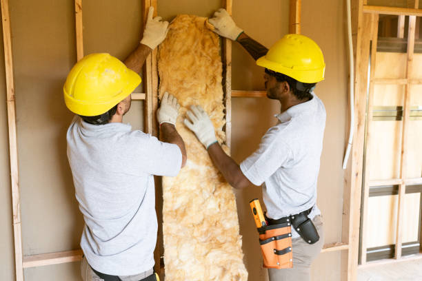 Best Spray Foam Insulation  in Quanah, TX